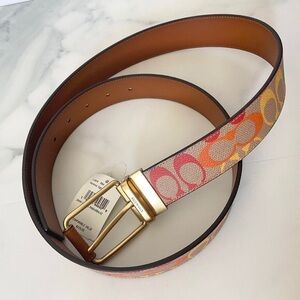 Coach Roller Buckle  Belt In Rainbow Signature Canvas+Calf Leather 38 Mm  #CJ804